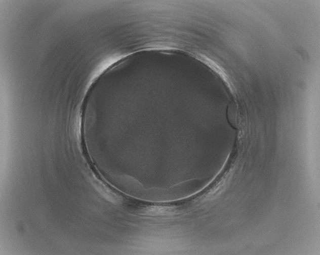 X0000116481179200912091354