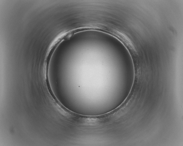 X0000116481180200912091354