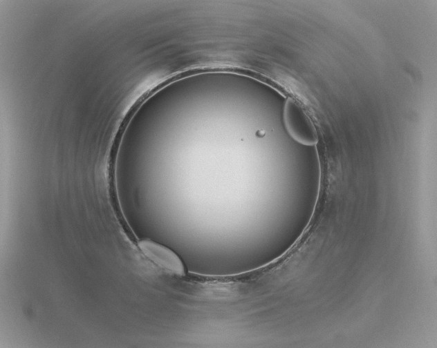 X0000116481181200912091354