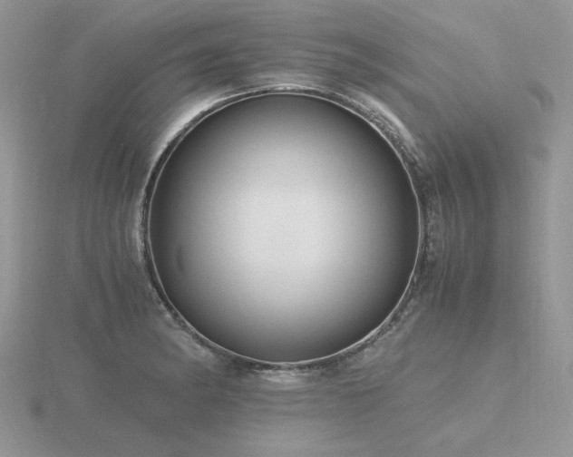 X0000116481182200912091354