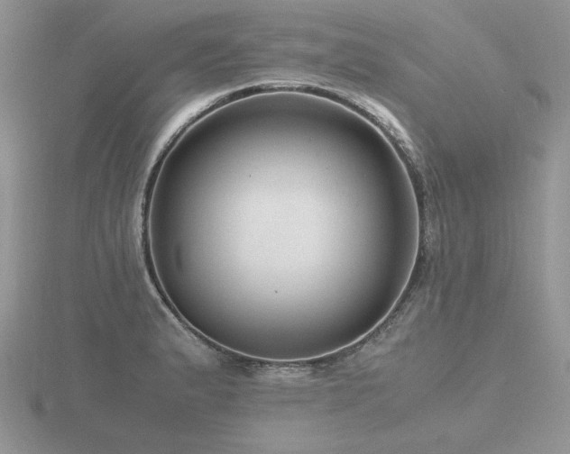 X0000116481183200912091354