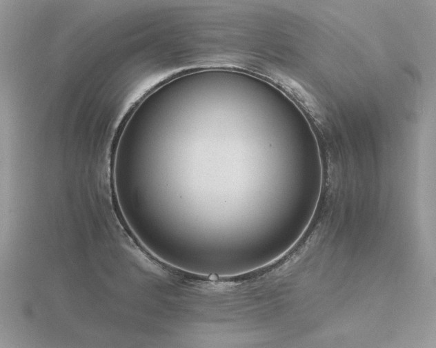 X0000116481184200912091354