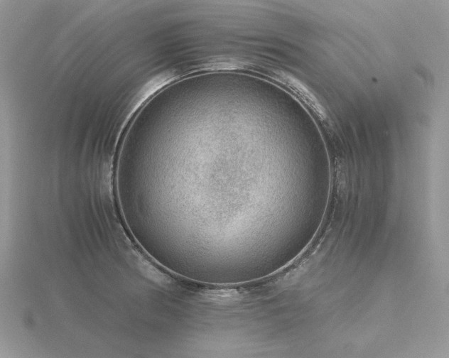 X0000116481186200912091354