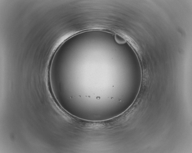 X0000116481187200912091354