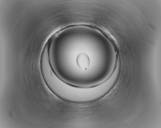 X0000116481189200912091354