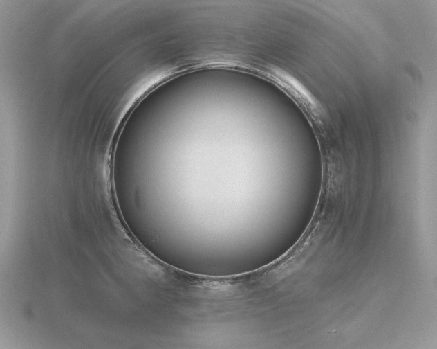 X0000116481190200912091354