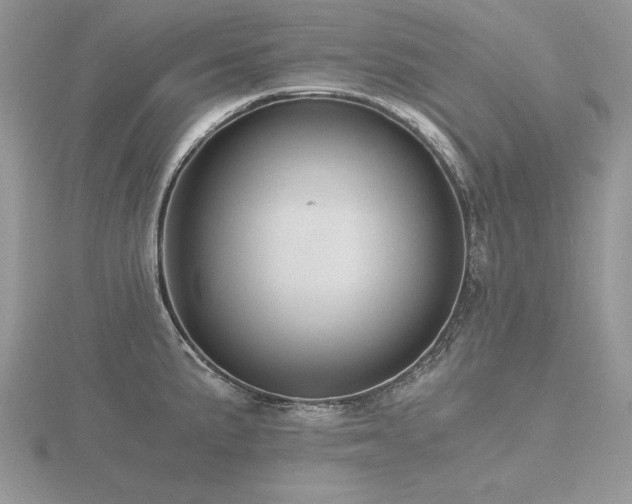 X0000116481191200912091354