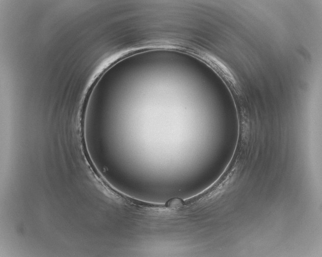 X0000116481192200912091354