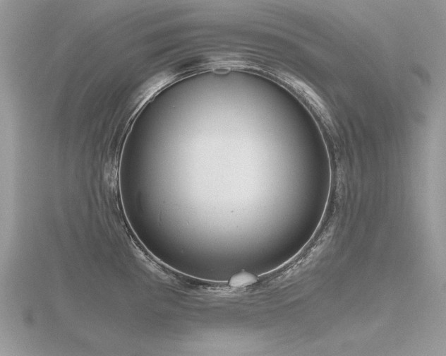 X0000116481193200912091354