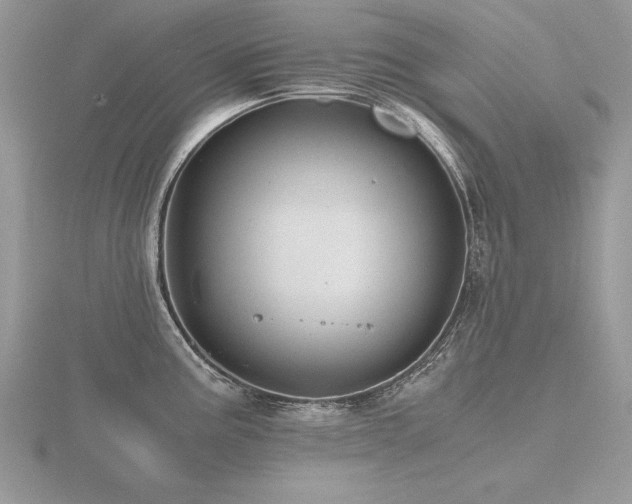 X0000116481195200912091354