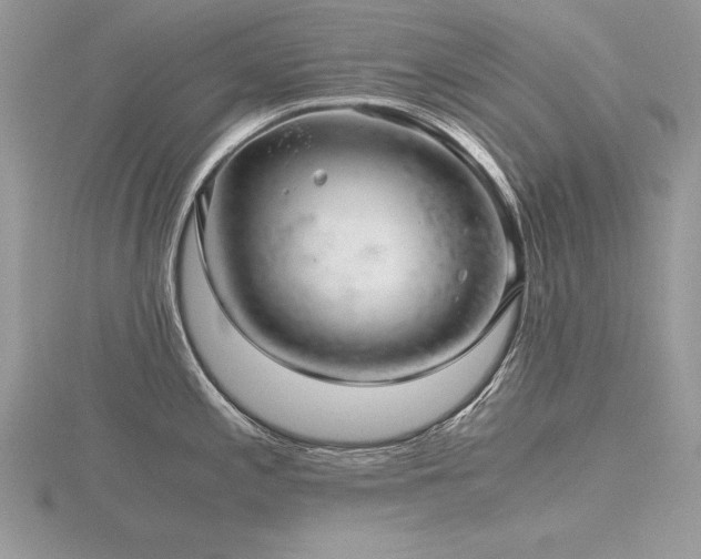 X0000116481197200912091354