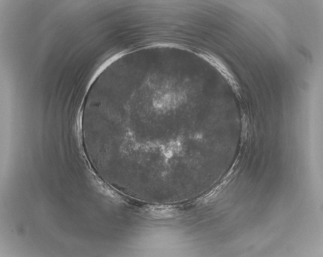 X0000116481198200912091354