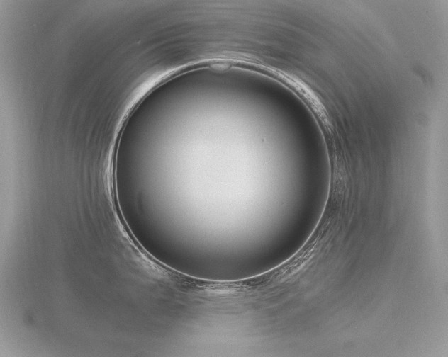 X0000116481199200912091354