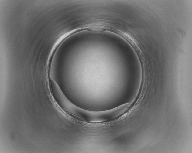 X0000116481200200912091354