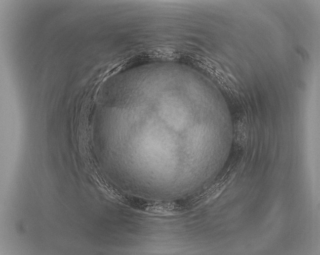 X0000116481201200912091353