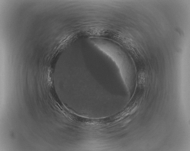 X0000116481202200912091353