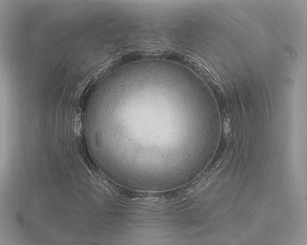 X0000116481204200912091353