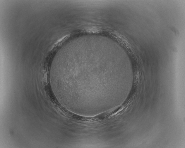 X0000116481205200912091353