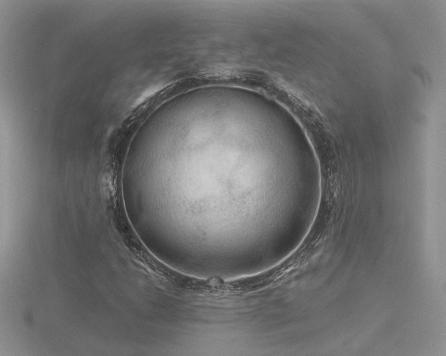 X0000116481206200912091353