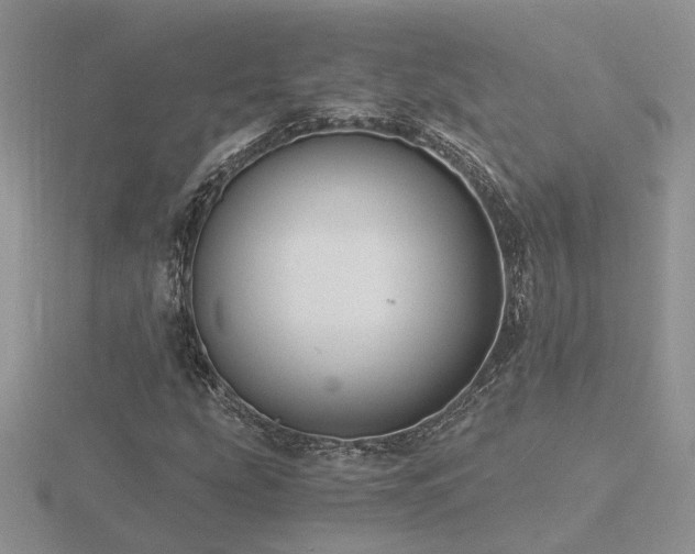 X0000116481207200912091353