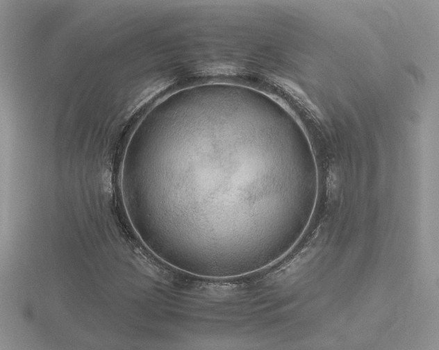 X0000116481209200912091353