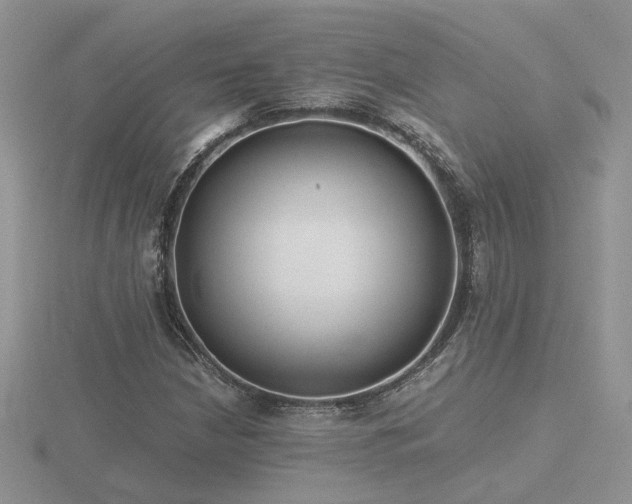 X0000116481210200912091353