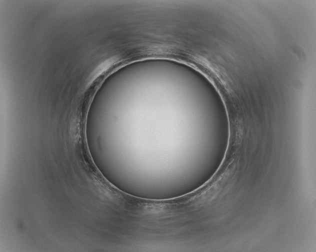 X0000116481211200912091353