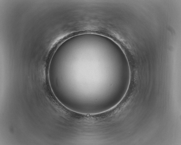 X0000116481214200912091353