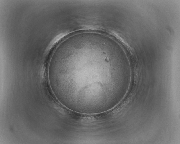 X0000116481215200912091353