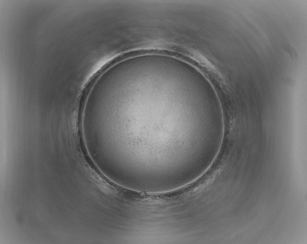 X0000116481216200912091353