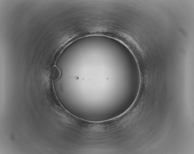 X0000116481217200912091353