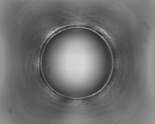 X0000116481220200912091353