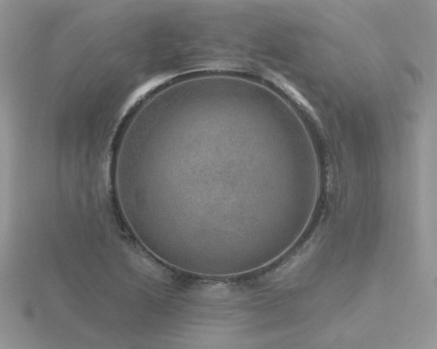 X0000116481222200912091353