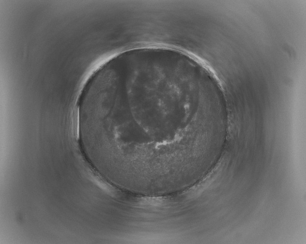 X0000116481223200912091353