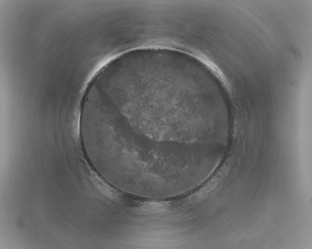 X0000116481224200912091353