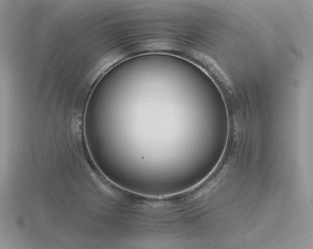 X0000116481225200912091353