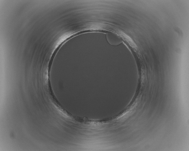 X0000116481226200912091353