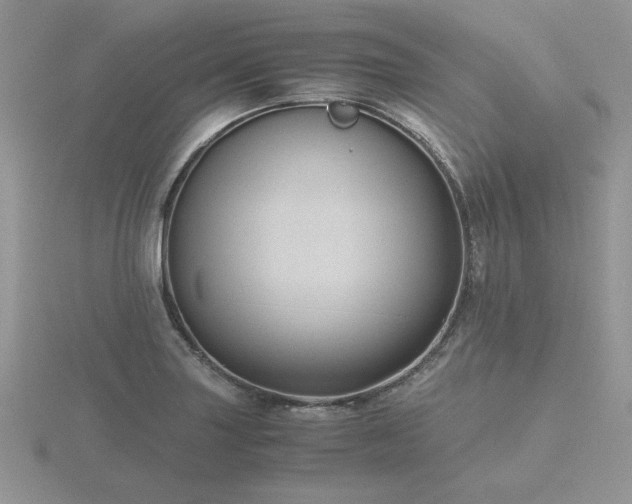 X0000116481227200912091353