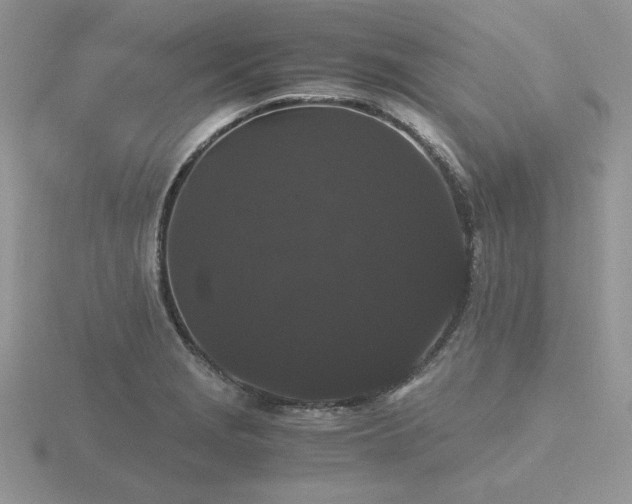 X0000116481229200912091353