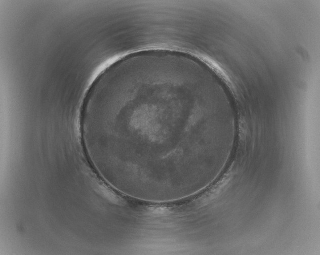 X0000116481230200912091353