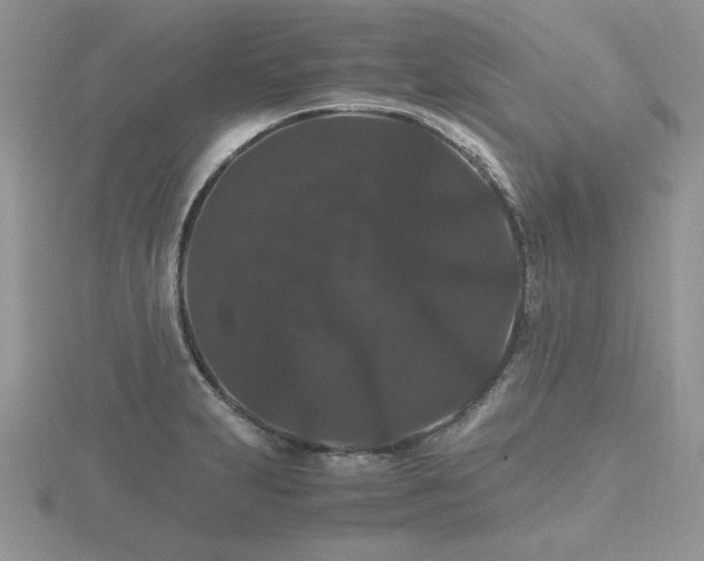 X0000116481231200912091353