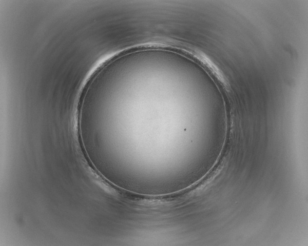 X0000116481232200912091353