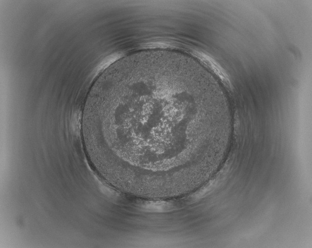 X0000116481233200912091353