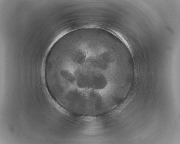 X0000116481235200912091353