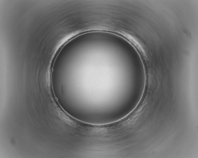 X0000116481238200912091353