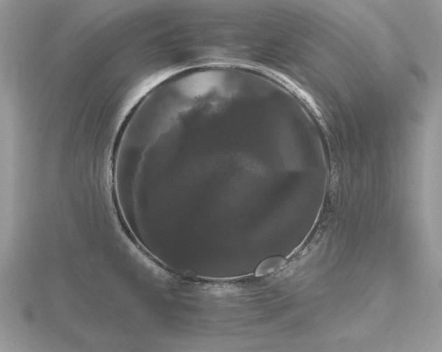 X0000116481239200912091353