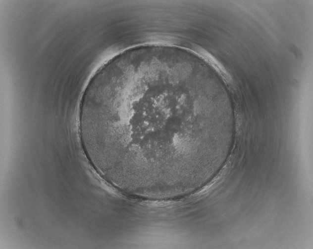 X0000116481240200912091353