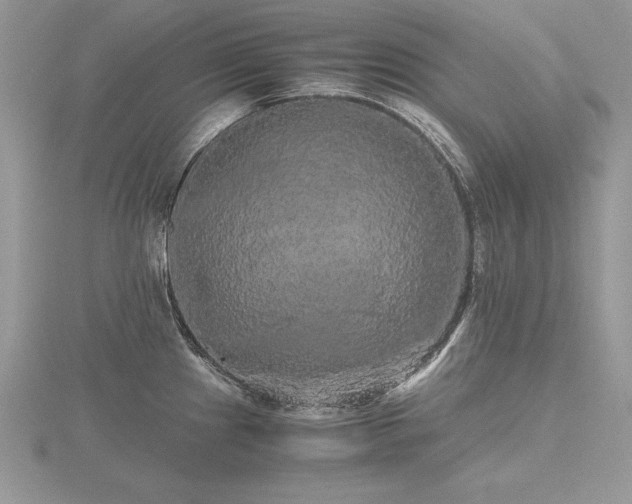 X0000116481241200912091353