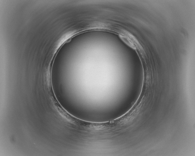 X0000116481242200912091353