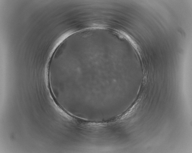 X0000116481243200912091353